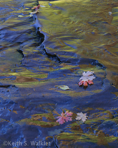 Photograph by Keith S. Walklet at Sun to Moon Gallery
